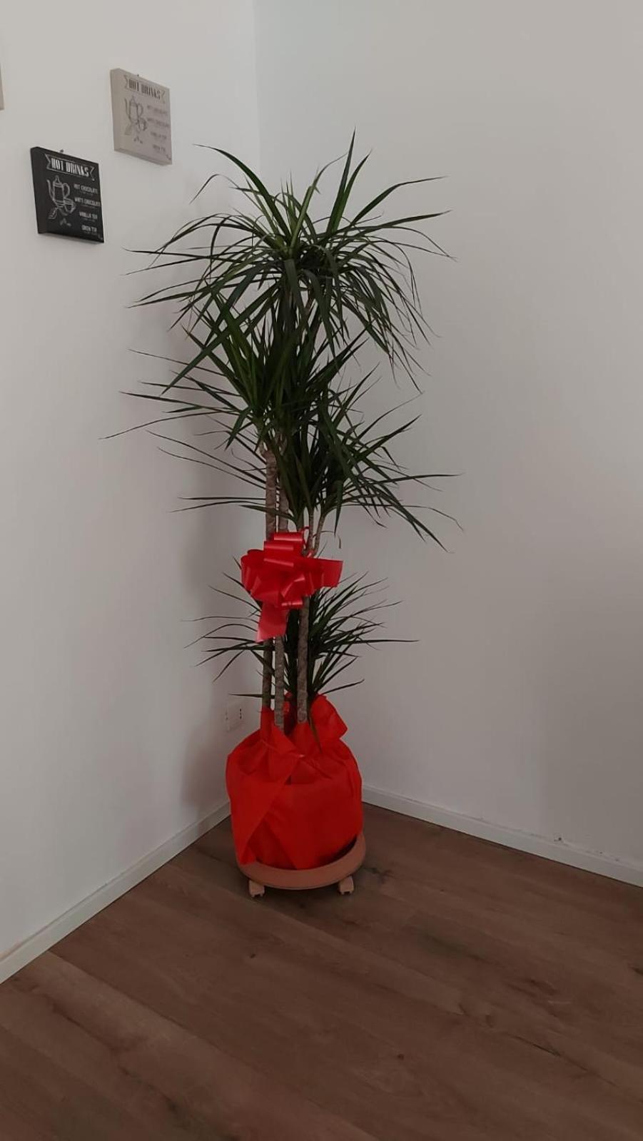 巴勒莫A Casa Di Elena公寓 外观 照片